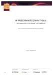 Raport z sondy przeprowadzonej dla akcji Świeć Się z ENERGĄ 2012.pdf